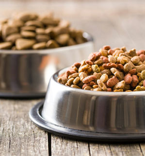 Natural Flavoring & Palatants