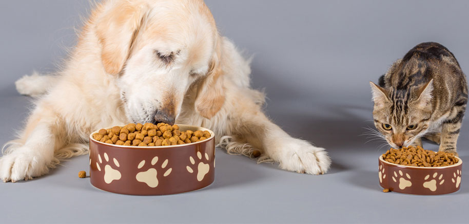 Pet Food & Animal Nutrition